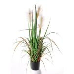 Silk reed grass EYOTA with panicles, green-brown, 31"/80cm