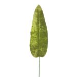 Velvet banana leaf AOXUE, green, 28"/70cm