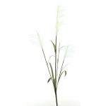 Artificial pampas grass branch LINEN with panicles, white, 5ft/145cm