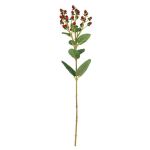 Artificial branch St John's wort TAVIRA with fruits, red, 26"/65cm