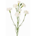 Artificial carnation branch PIARA, white, 24"/60cm, Ø1.2"-2"/3-5cm