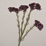 Artificial beach lavender AYISHA, dried look, dark violet, 26"/65cm, 1.4"x2.4"/3.5x6cm