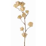 Artificial Physalis branch AINOS, fruits, glitter, cream, 31"/80cm