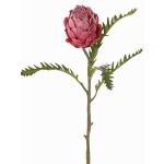 Artificial protea BREGANSA, dusky pink, 65cm, Ø7cm