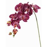 Decorative branch Phalaenopsis orchid WESA, dark violet-white, 3ft/100cm