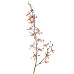 Artificial branch Cattleya orchid TRASSA, violet-white-yellow, 31"/80cm, Ø1.6"-3.1"/4-8cm