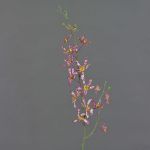 Artificial branch Cattleya orchid TRASSA, fuchsia-white-yellow, 31"/80cm