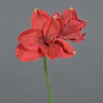Amaryllis künstlich NARWELA, rot, 70cm, Ø10-13cm