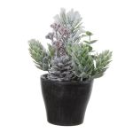 Artificial arrangement of fir, hops and gaultheria VIANNO, snow-covered, decorative pot, green-white, 5.5"/14cm, Ø 4.3"/11cm
