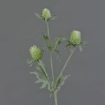 Artificial eryngium SVEA, green, 16"/40cm, Ø0.8"-1.2"/2-3cm