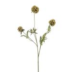 Decorative branch star Scabious RANIK, green, 28"/70cm
