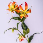 Fake gloriosa FUJITA, orange-yellow, 31"/80cm, Ø6"/15cm