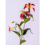 Fake gloriosa FUJITA, pink-yellow, 31"/80cm, Ø6"/15cm