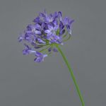 Fake agapanthus PHILINA, purple, 30"/75cm, Ø5.5"/14cm