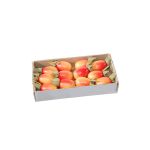 Decorative fruit rose hip ZENNY, 12 pieces, red-orange, 0.8"/2cm