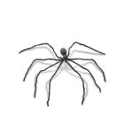Halloween Riesige Spinne TREEVA, natürlich aussehend, grau, 230x200x15cm
