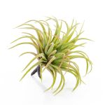 Fake tillandsia PENNY, spike, green-red, 4.7"/12cm, Ø4"/10cm