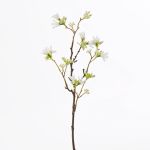 Artificial Seven son flower of Zhejiang MAREN, white, 20"/50cm