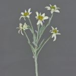 Artificial edelweiss SOPHIA, white, 16"/40cm, Ø2"-2.4"/5-6cm