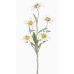 Artificial edelweiss SOPHIA, white, 16"/40cm, Ø2"-2.4"/5-6cm