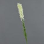 Fake liatris spicata MITSA, cream, 31"/80cm, Ø2"/5cm