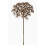 Artificial hogweed ANSARI, brown, 31"/80cm, Ø9"/22cm