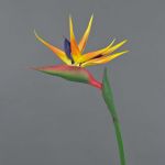Fake strelitzia LATIFA, orange-violet, 31"/80cm, 7"x8"/17x20cm