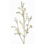 Fake waxflower spray NIANG, cream, 31"/80cm, Ø0.6"-1"/1.5-2.5cm