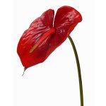 Silk flamingo flower MOIRA, red, 30"/75cm, 5.1"x8"/13x20cm