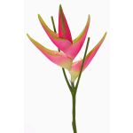 Artificial heliconia flower TOMKE, fuchsia-green, 31"/80cm, Ø7.1"/18cm