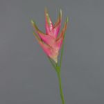 Artificial heliconia flower TOMKE, pink-green, 31"/80cm, Ø12"/30cm