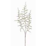 Fake asparagus acutifolius branch JOCHEN, green, 28"/70cm