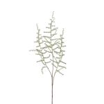 Fake asparagus acutifolius branch HANS, green, 28"/70cm