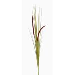 Fake foxtail grass JILL, on spike, panicles, green-violet, 35"/90cm