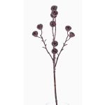 Fake eucalyptus branch BASILIUS with fruits, brown, 24"/60cm