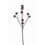Fake eucalyptus branch BASILIUS with fruits, brown, 24"/60cm