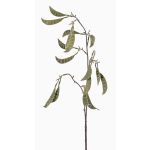 Artificial pea pods branch KLAUS, green, 35"/90cm