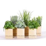 Fake herb mix CHUCK in paper pot, 6 pcs, green, 6"-10"/15-25cm