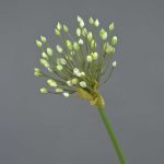 Artificial ornamental leek KATYNA, cream, 28"/70cm