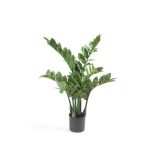 Artificial plant Zamioculcas SIMANO, 28"/70cm