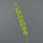 Artificial shellflower SIERA, green, 31"/80cm