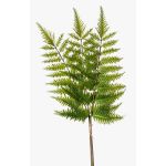 Plastic sword fern spray HALIMA, green, 24"/60cm