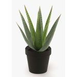 Artificial aloe variegata MARTINEZ, green, 10"/25cm, Ø7"/17cm