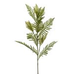 Plastic Boston fern spray ENRIKE, green, 31"/80cm