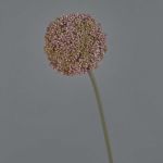 Plastic Allium BOUTROS, violet, 30"/75cm