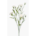 Artificial carnation KANO, cream, 28"/70cm
