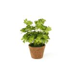 Artificial clover NICCOLO in decorative pot, green, 10"/25cm