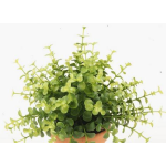 Artificial eucalyptus JOSHUA on spike, green, 8"/20cm, Ø7"/17cm