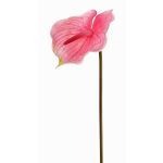 Fake flamingo flower MOIRA, fuchsia-pink, 30"/75cm, 5.1"x7.1"/13x18cm