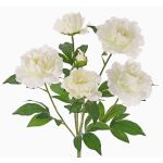 Artificial peony bush LYANA, spike, white, 18"/45cm, Ø12"/30cm
